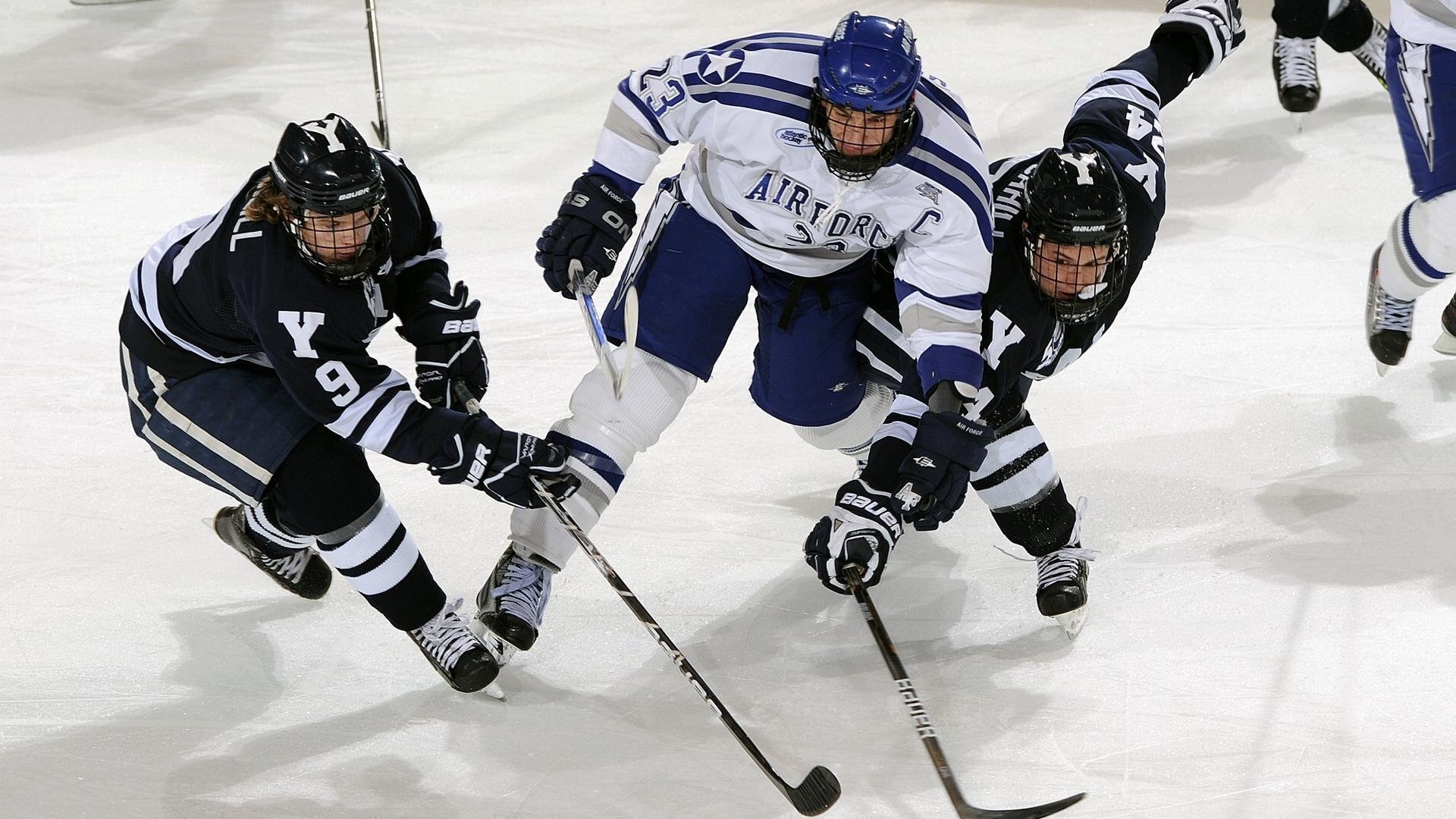 球队年度财报显示商业运营稳步增长引投资者关注,球队商业价值