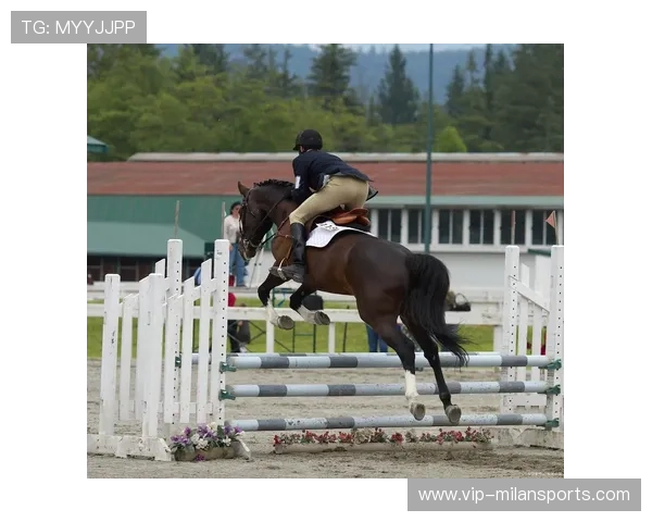 马术国家队在跨区训练中保持良好节奏